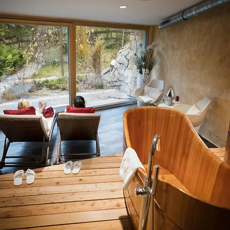 Zámeček Petrovice - Free Wellness 3h 4* Petrovice u Karviné
